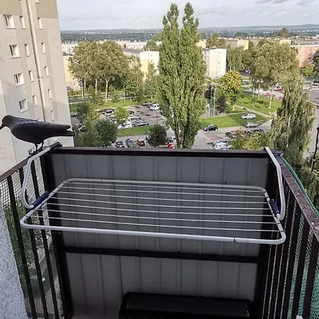 Tysiaclecie - Duzy Parking * Częstochowa